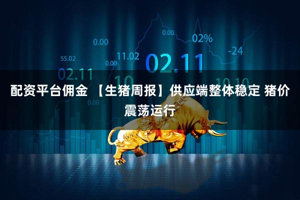 配资平台佣金 【生猪周报】供应端整体稳定 猪价震荡运行