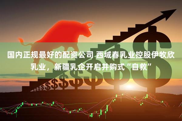 国内正规最好的配资公司 西域春乳业控股伊牧欣乳业，新疆乳企开启并购式“自救”