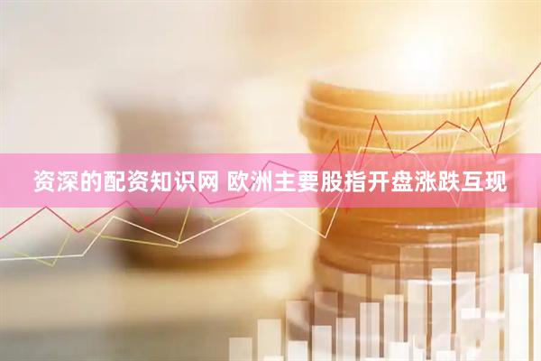 资深的配资知识网 欧洲主要股指开盘涨跌互现
