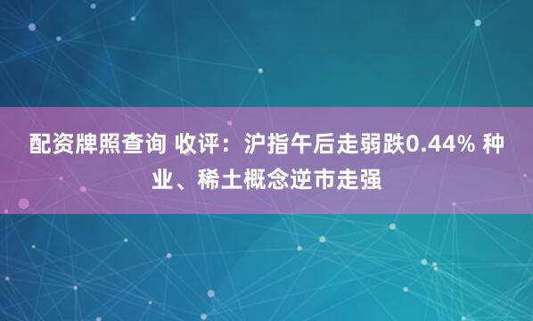 配资牌照查询 收评：沪指午后走弱跌0.44% 种业、稀土概念逆市走强